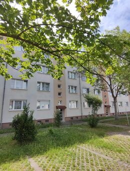 WIR RENOVIEREN für SIE - Zwenkau