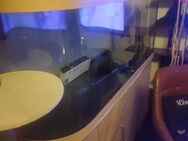 Zu verkaufen: 500 Liter Aquarium - Schweinfurt