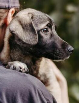 Unai 💕 - Kallmünz