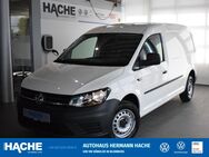 VW Caddy, 2.0 TDI Maxi Kasten, Jahr 2016 - Blomberg (Nordrhein-Westfalen)