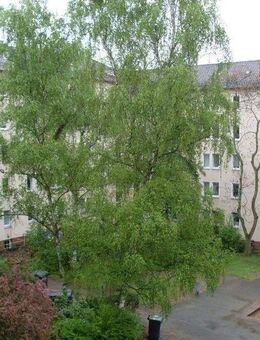 Verkehrsgünstig gelegene, renovierte 2,5-Zimmer-Wohnung zum Wohlfühlen - Nürnberg