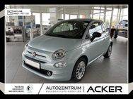 Fiat 500, 1.0 Mild Hybrid Komfort, Jahr 2024 - Marburg