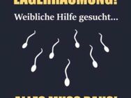 Er sucht (Frau oder paar) helfe Frauen und Paare gerne beim Vergnügen - Bielefeld