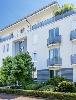 Exklusives Penthouse mit ca. 200 m² Dachterrasse! - Frankfurt (Main)