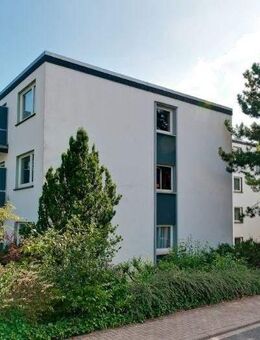 Frisch renovierte 3-Zimmer-Erdgeschosswohnung! - Osnabrück