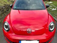 Volkswagen Beetle 1.4 TSI Fender Edition Tüv Neu - Bad Lobenstein