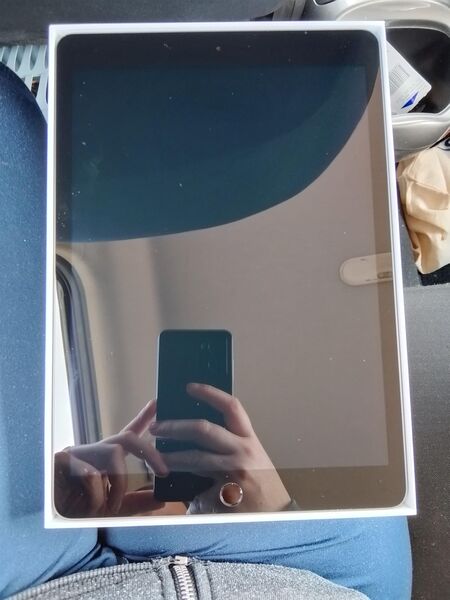 Apple I Pad 9. Generation in Grau 64 GB - Hamburg