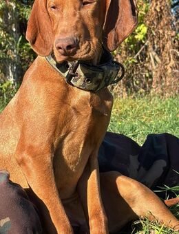 Ich heiße Remi .... mit Video - Frankfurt (Main)