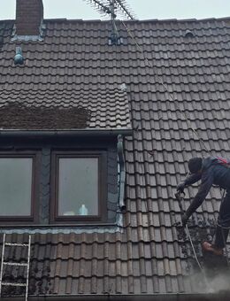 ☀️ Dachreinigung vom Profi – mit ImmoPlus+ Sanierung 🏠 - Oldenburg
