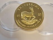Krügerrand Goldmünze - Nachbildung - Frankfurt (Main)