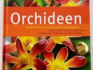 GU Pflanzenpraxis – Orchideen - Niederfischbach