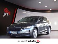 Skoda Octavia, 2.0 TDI Combi Selection, Jahr 2024 - Villingen-Schwenningen