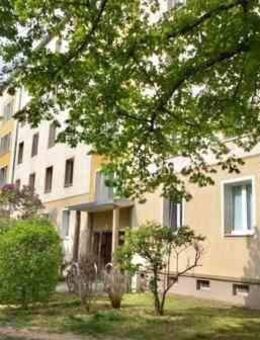 Striesen: Große 2-Zimmerwohnung mit Wannenbad- ab sofort beziehbar! - Dresden