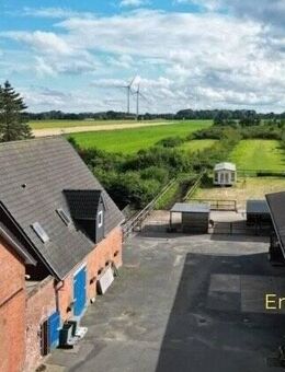 Traumhaftes Anwesen für Pferdebesitzer und die ganze Familie - Kernsaniertes Landhaus, auf 2,9 Hektar Land - Freiburg (Elbe)