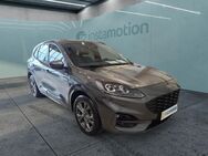 Ford Kuga, ST-Line leichter Hagelschaden, Jahr 2023 - München