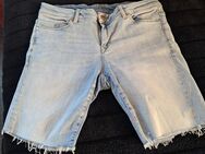 Jeans Short - Wildenberg