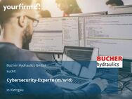 Cybersecurity-Experte (m/w/d) - Klettgau