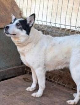 Leonie wünscht sich eine eigene Familie - München