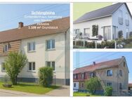 Neubau einer Stadtvilla und alte Doppelhaushälfte mit 1.109 m² Garten am Ortsrand von Schöngleina - Schöngleina