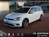 VW Golf Variant, 2.0 TDI Golf VII Highline, Jahr 2020 - Versmold