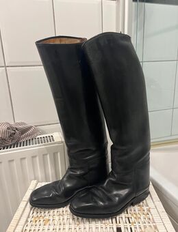 Leder Reitstiefel gr 38 - Tönisvorst