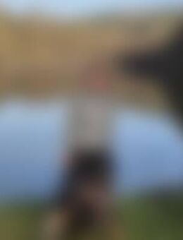 Sar*** - Hambrücken