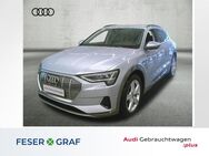 Audi e-tron, bel Mass Tour Stadt °, Jahr 2022 - Lauf (Pegnitz)