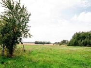 Attraktives Landhaus (Reetdach)in Alleinlage und Ostseenähe mit arrondierten Weideflächen - Rerik Zentrum