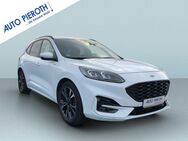 Ford Kuga, 2.5 Duratec ST-LINE X, Jahr 2021 - Bad Kreuznach