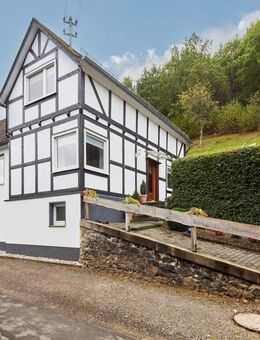 Zweifamilienhaus: Grünes Paradies mit 4.000 m² Grundstück - Lennestadt