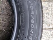 Hankook 205/60R16 Sommerreifen - Burgdorf (Landkreis Region Hannover)