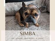 Simba sucht ihre Menschen ! - Lippetal