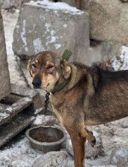 Manka leidet so sehr - Berlin