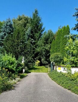 Romantischer Landsitz am Golfplatz mit Potential zur Pferderanch - Fernblick !!! - Bad Griesbach (Rottal)