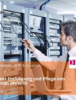 Werkstudent Einführung und Pflege von SAP-Systemen (m/w/d) - Ludwigsburg