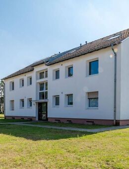 1-Zimmer-Singlewohnung mit neuem Laminatboden in Celle! - Celle