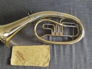 Tenorhorn gebraucht - Kitzingen