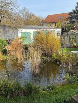 Charmante 1,5-Zimmer-Wohnung mit Balkon und Blick ins Grüne - Hanau (Brüder-Grimm-Stadt)