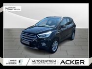 Ford Kuga, 1.5 EcoBoost Titanium, Jahr 2017 - Bad Berleburg