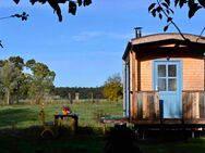 Ferienhaus mieten, Autarker Schäferwagen mit Kamin, Tiny Haus - Dargun Zentrum
