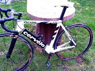 Rennrad Cervelo Soloist S1 54er Carbonrahmen - Gebesee Zentrum