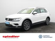 VW Tiguan, 2.0 TDI Comfortline, Jahr 2020 - Würzburg