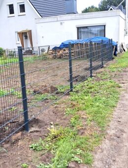 30m Doppelstabmattenzaun H-1,23 6/5/6 inkl. 2 Eckpfosten - Bremerhaven