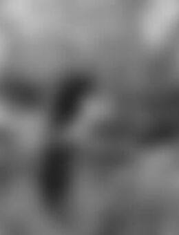 Lan*** - Wangen (Allgäu)