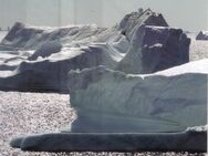 Grönland: 00.00.2020, "Geschenk der Sammlerservice", gestempelt - Brandenburg (Havel)