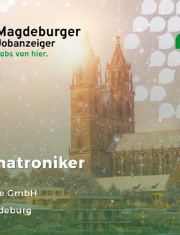 Servicetechniker / Mechatroniker (m/w/d) für Gabelstapler & Fördertechnik - Magdeburg