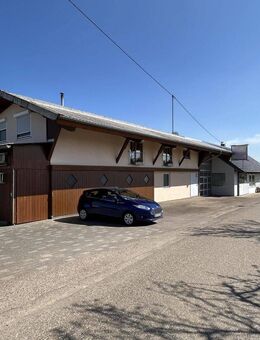 Vielseitiges Anwesen in ruhiger, sonniger Lage - Freiamt