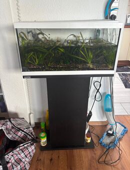 60 Liter Aquarium mit Zubehör - Altensteig