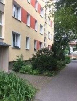 Schöne 3 Zimmerwohnung mit Balkon! Küche und Bad mit Fenster! - Dresden