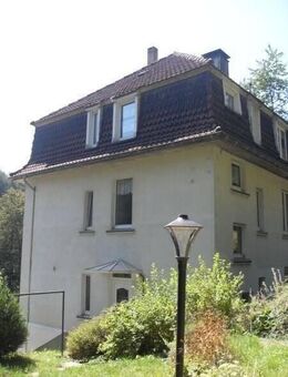 Gemütliche Single-Whg. mit Kamin und Garten! - Lüdenscheid